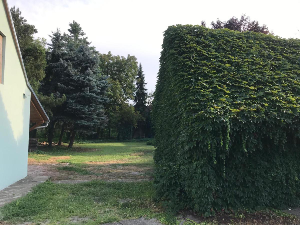 Pb Urban Garden Stay With Secured Parking Sremska Mitrovica Exterior foto